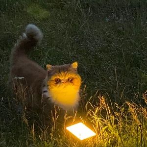 Meet your Posher, Phoenix